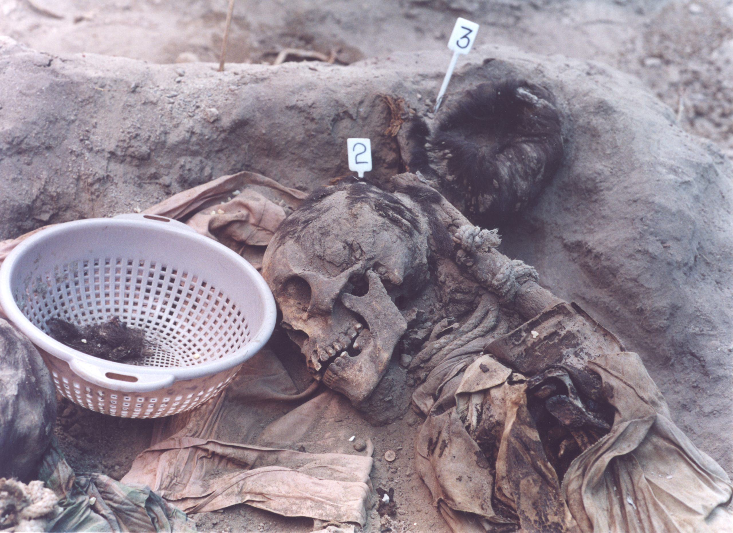 Exhumation (Exhumación)